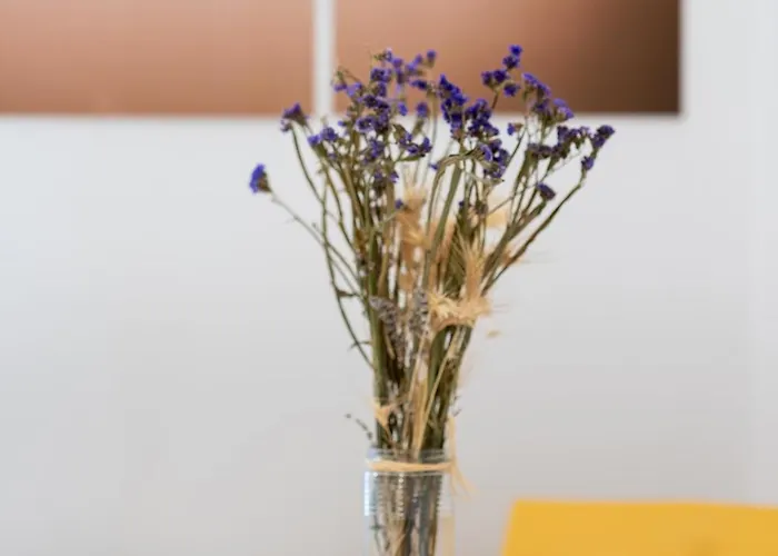 Appartement Just Here - Nina Bari